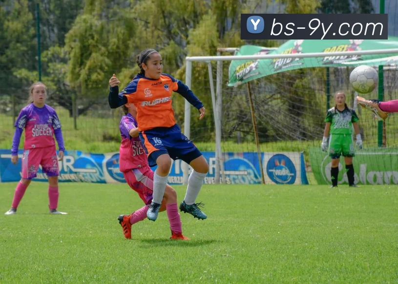 九游官网平台生态图